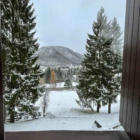 Melodia Del Bosco * Tarvisio