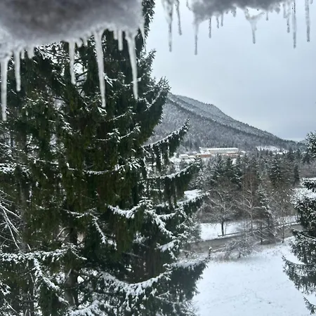 Melodia Del Bosco Apartamento Tarvisio
